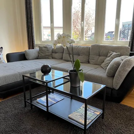 Apartamento De Prestige Au Centre Climatise Avec Jardin Prive Colmar