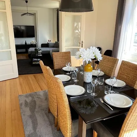 Apartamento De Prestige Au Centre Climatise Avec Jardin Prive Colmar