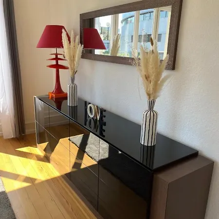 Apartamento De Prestige Au Centre Climatise Avec Jardin Prive Colmar