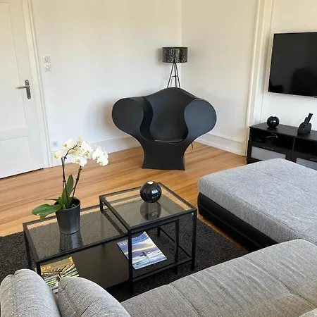 De Prestige Au Centre Climatise Avec Jardin Prive * קולמר