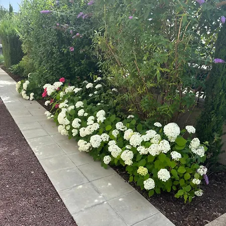 아파트 De Prestige Au Centre Climatise Avec Jardin Prive
