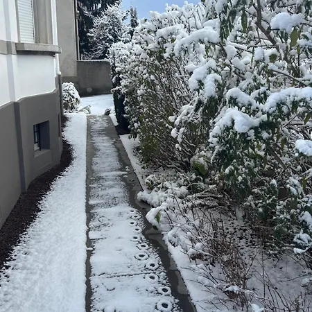 De Prestige Au Centre Climatise Avec Jardin Prive Colmar