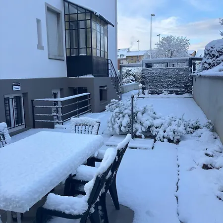 De Prestige Au Centre Climatise Avec Jardin Prive * Colmar