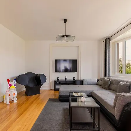 De Prestige Au Centre Climatise Avec Jardin Prive Апартаменты Кольмар