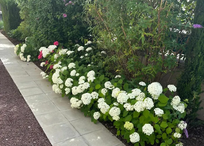 Lägenhet De Prestige Au Centre Climatise Avec Jardin Prive
